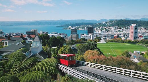 Wellington City E-Bike Tour, Wellington