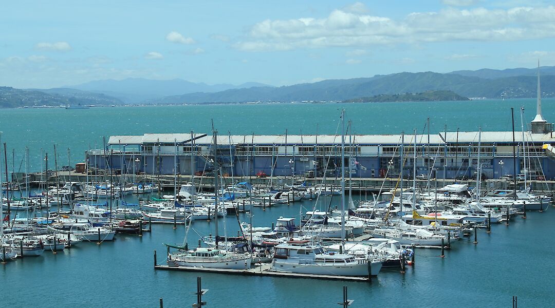 Boats at a Marina, Wellington, New Zealand. Flickr: Kristina D.C. Hoeppner