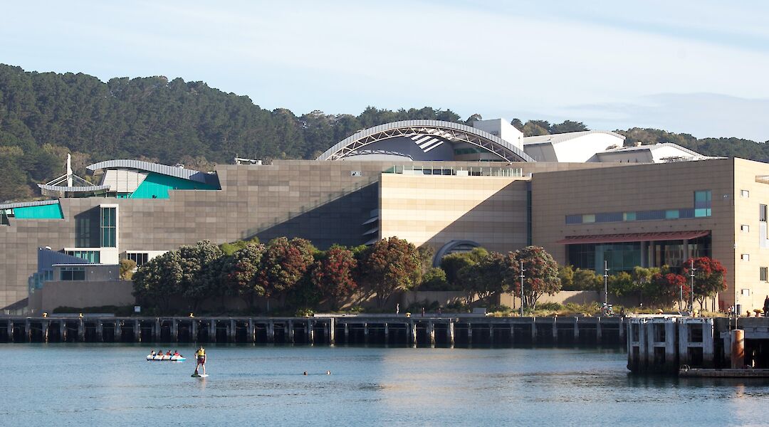 Te Papa Tongarewa National Museum, Wellington, New Zealand. Flickr: Virginia McMillan