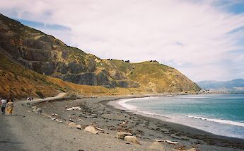 People walking on the shores of Bay Wellington, Wellington, New Zealand. Tegan@Unsplash