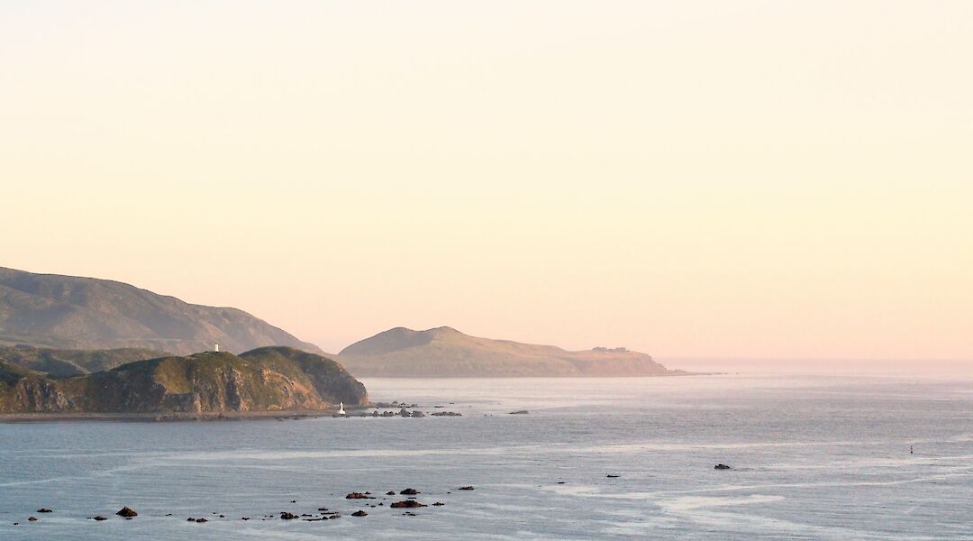 Serene view of Bay Wellington, Wellington, New Zealand. Nate Watson@Unsplash
