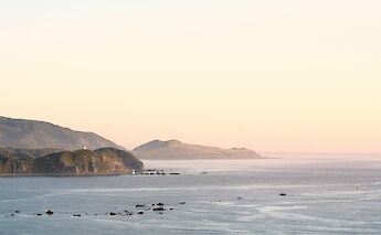 Serene view of Bay Wellington, Wellington, New Zealand. Nate Watson@Unsplash