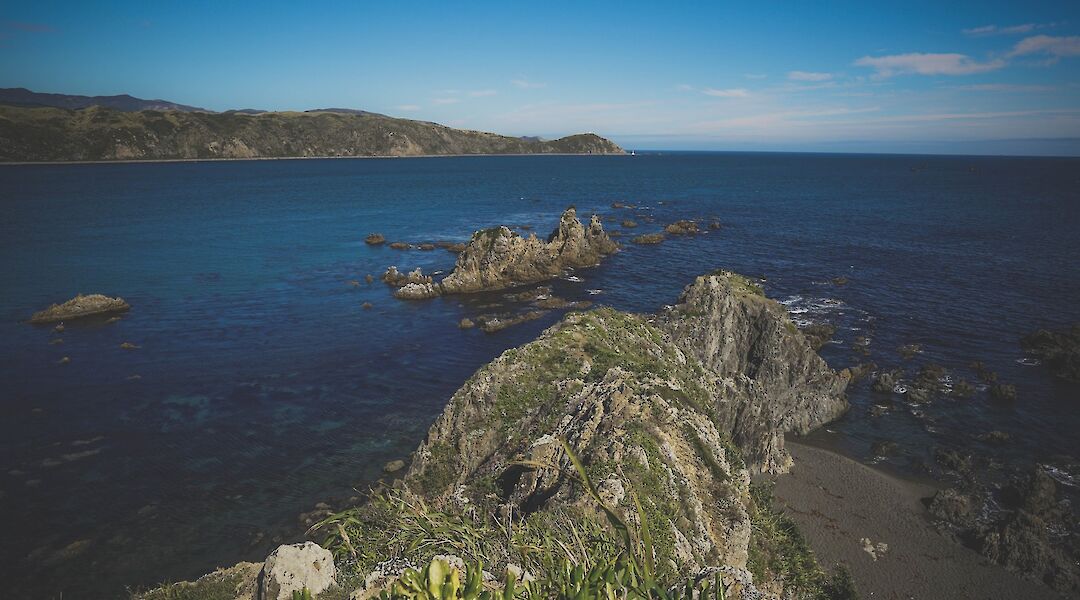 Rock formations, Breaker Bay, Wellington, New Zealand. Luca Calderone@Unsplash