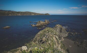 Rock formations, Breaker Bay, Wellington, New Zealand. Luca Calderone@Unsplash