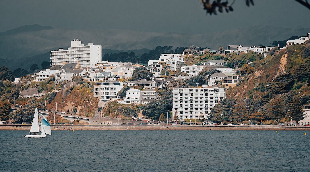 White buildings, Harbor in Wellington, New Zealand. Aless con@Unsplash