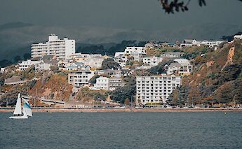 White buildings, Harbor in Wellington, New Zealand. Aless con@Unsplash