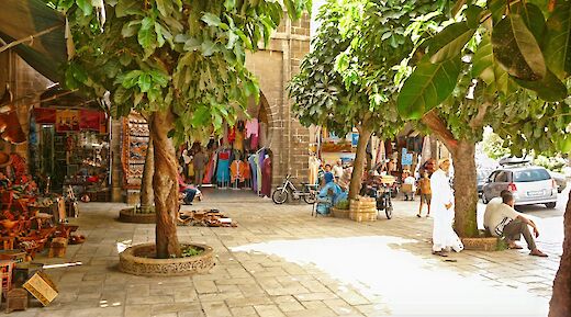 Trees, Casablanca, Morocco. Thales Botelho de Sousa@Unsplash