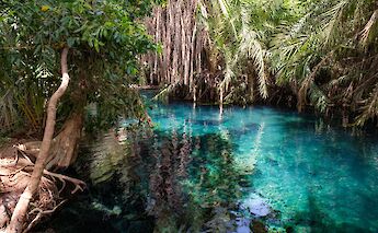 Beautiful blue waters of the Chemka Hot Springs, Kilimanjaro, Tanzania. Nichika Yoshida@Unsplash