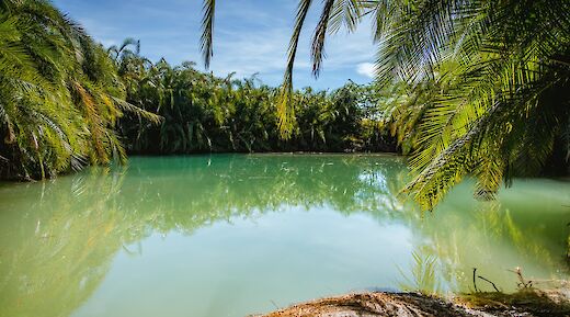 Palm trees surrounding the beautiful spring, Kilimanjaro, Tanzania. Daniel Msirikale@Wikimedia Commons
