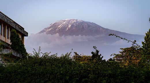 View of Mt Kilimanjaro from Moshi, Tanzania. Nichika Yoshida@Unsplash
