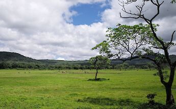 Arusha National Park Landscape, Tanzania. RB Photo@Flickr