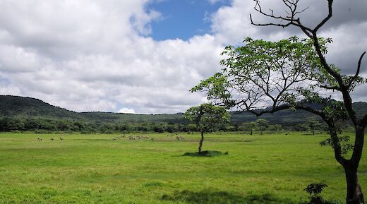 Arusha National Park Landscape, Tanzania. RB Photo@Flickr