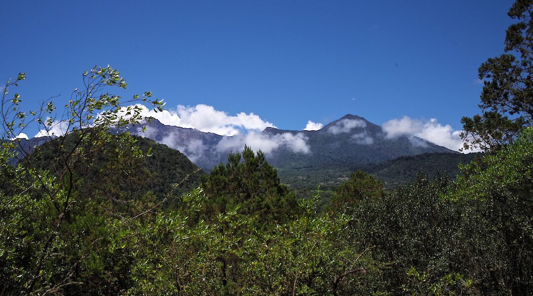 Mount Meru from Arusha National Park, Tanzania. RB Photo@Flickr