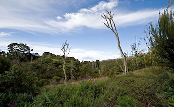 Mount Meru from Mount Kilimanjaro National Park, Tanzania. Stig Nygaard@Flickr