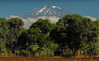 Mount Kilimanjaro visible from Moshi, Behind banana plantation, Moshi, Kilimanjaro. Erasmus Kamugisha@Wikimedia Commons