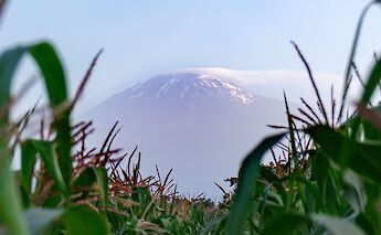 Mount Kilimanjaro from a rice field in Moshi, Tanzania. Nichika Yoshida@Unsplash