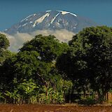 Mount Kilimanjaro visible from Moshi, Behind banana plantation, Moshi, Kilimanjaro. Erasmus Kamugisha@Wikimedia Commons