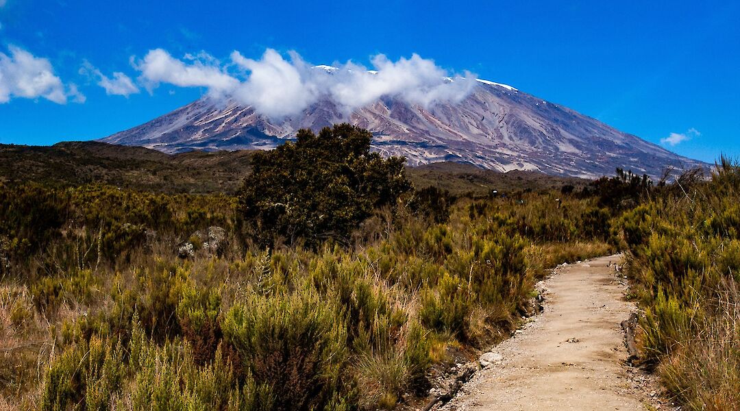 A clear view of the majestic Mount Kilimanjaro, Moshi, Tanzania. Crispin Jones@Unsplash
