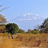 Mount Kilimanjaro in the background, Moshi, Tanzania. Lone Vassnos@Wikimedia Commons