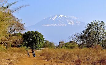 Mount Kilimanjaro in the background, Moshi, Tanzania. Lone Vassnos@Wikimedia Commons
