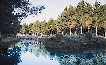 Bellarine Rail Trail, Moolap VIC, Australia. Pat Whelen@Unsplash