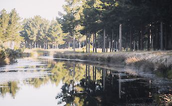 Bellarine Rail Trail, Moolap VIC, Australia. Pat Whelen@Unsplash