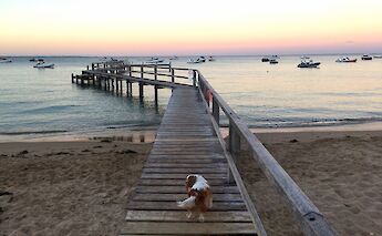 Mornington peninsula, Victoria. YT3142@Flickr