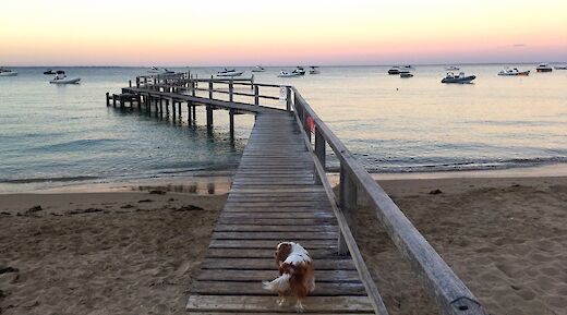 Mornington peninsula, Victoria. YT3142@Flickr