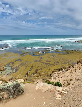Mornington Peninsula Walk, Fowlers Beach, Blairgowrie, Victoria, Australia. Kgbo@Wikimedia Commons