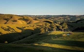 Victoria, Australia. Zac Porter@Unsplash