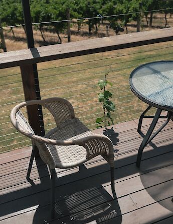 Views over the vineyards, Yarra Valley Winery. Kate Trifo@Unsplash