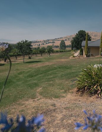 Sublime scenery at Yarra Valley vineyards. Kate Trifo@Unsplash