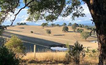 Yarra Valley, Victoria, Australia. Neroli Wesley@Unsplash