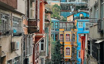 Yellow building covered in vines, Istanbul, Turkey. Mohammad Majid@Unsplash