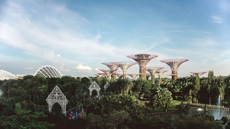 Panoramic view of the Gardens by the Bay in Singapore. Y K@Unsplash