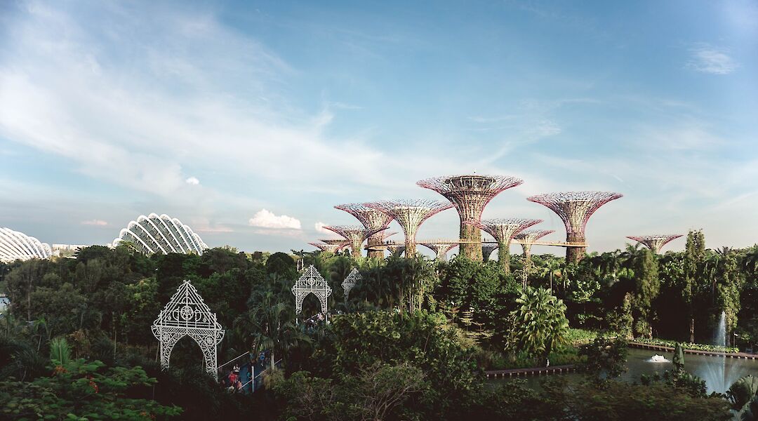 One of the best nature parks in the world, Gardens by the Bay Singapore, Singapore. Y K@Unsplash