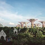 One of the best nature parks in the world, Gardens by the Bay Singapore, Singapore. Y K@Unsplash