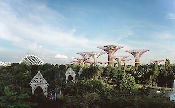 One of the best nature parks in the world, Gardens by the Bay Singapore, Singapore. Y K@Unsplash
