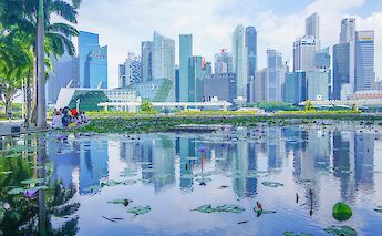 A mix of nature and concrete structures, Singapore, Singapore. Stephanie Yeh@Unsplash