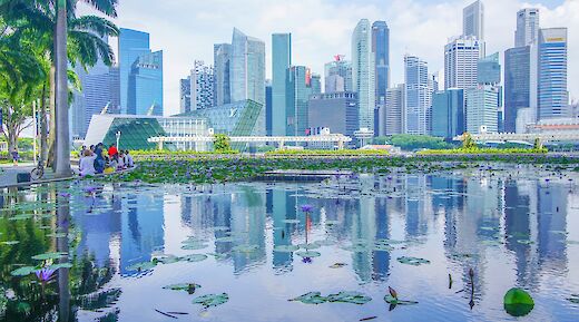 A mix of nature and concrete structures, Singapore, Singapore. Stephanie Yeh@Unsplash