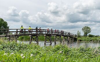 Biking in Dutch countryside!