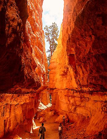 Inside Bryce Canyon National Park, Utah. Flickr: Pedro Szekely