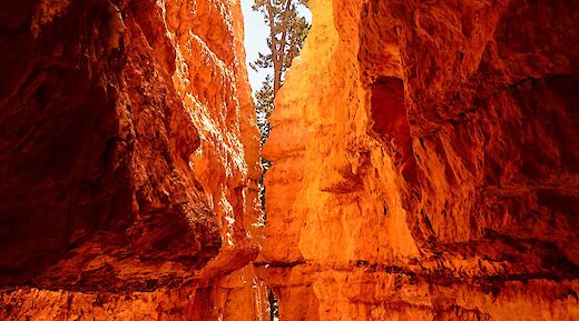 Inside Bryce Canyon National Park, Utah. Flickr: Pedro Szekely