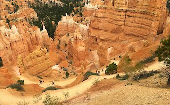 Path into Bryce Canyon, Utah. Flickr: jared422