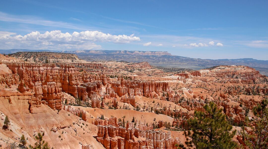 Rock formations and trees in Bryce Canyon, Utah, USA. Hanna May@Unsplash