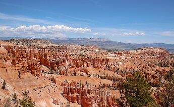 Rock formations and trees in Bryce Canyon, Utah, USA. Hanna May@Unsplash