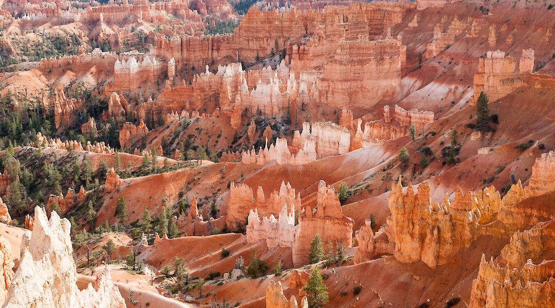 Beautiful Rock Spires of Bryce Canyon, Utah, USA. Sheena Woodhead@Unsplash