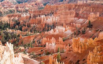 Beautiful Rock Spires of Bryce Canyon, Utah, USA. Sheena Woodhead@Unsplash