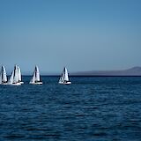 Sailing boats in the harbor, Santa Barbara, California. Earl Wilcox@Unsplash