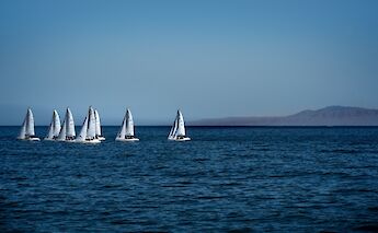 Sailing boats in the harbor, Santa Barbara, California. Earl Wilcox@Unsplash
